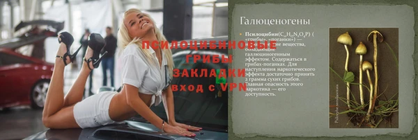 spice Алексин