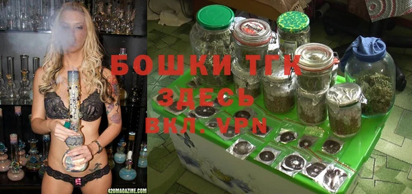 spice Алексин