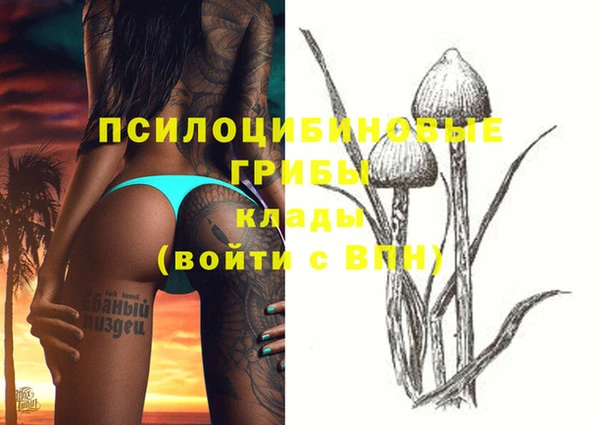 хмурый Алзамай