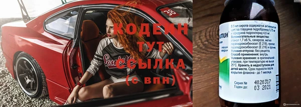 хмурый Алзамай