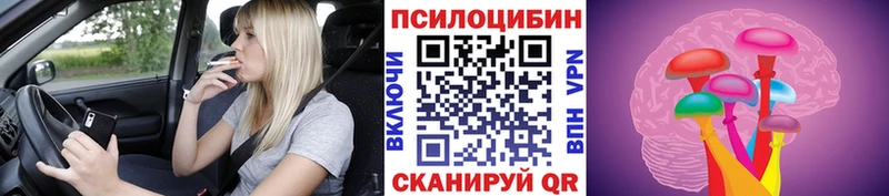 Галлюциногенные грибы Cubensis  Купить  Сусуман 